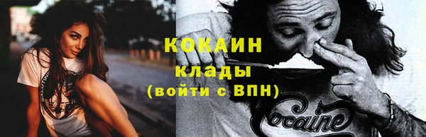 гашик Дмитровск