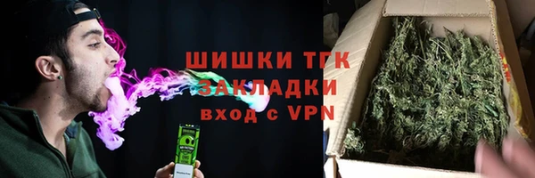 гашик Дмитровск