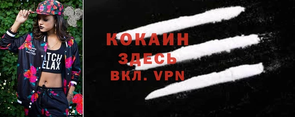 дживик Дмитриев