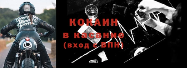гашик Дмитровск