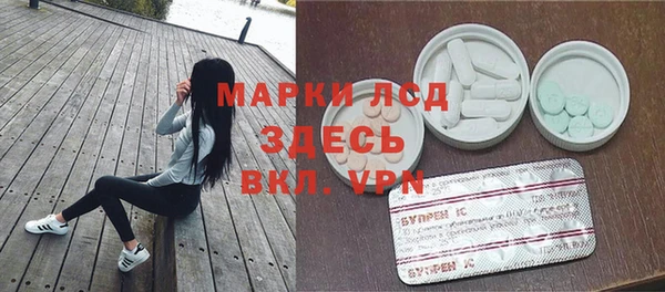 гашик Дмитровск