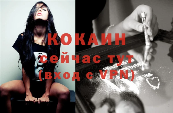 дживик Дмитриев