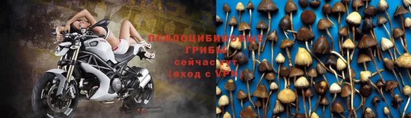 дживик Дмитриев