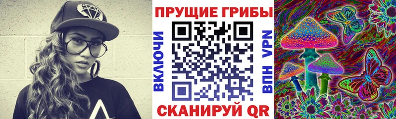 Купить закладки  Шарья  Галлюциногенные грибы Psilocybine cubensis 